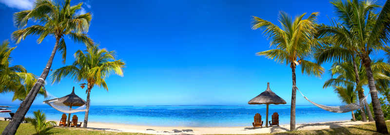 蓝天下的蓝色的海水和金色沙滩上的棕榈树