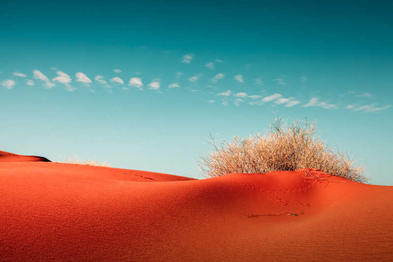 蓝天下的红色沙漠