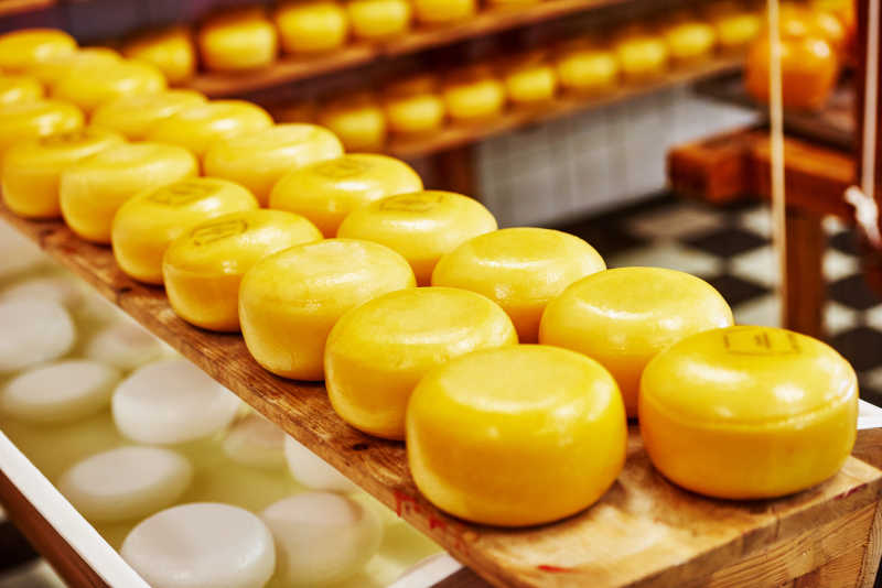 干酪的生产过程
