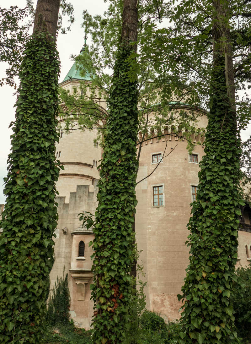 绿茵下的世界城堡建筑