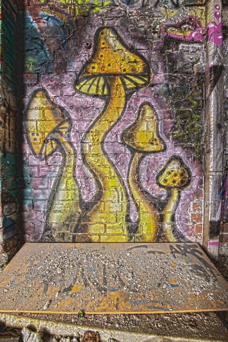 墙上的蘑菇涂鸦