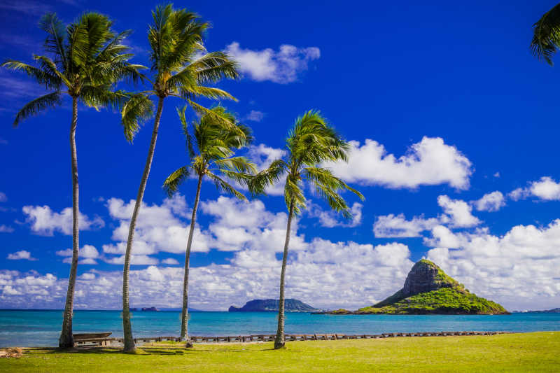 夏威夷海滩风景
