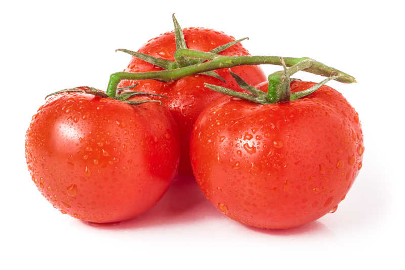 三颗美味诱人的红番茄