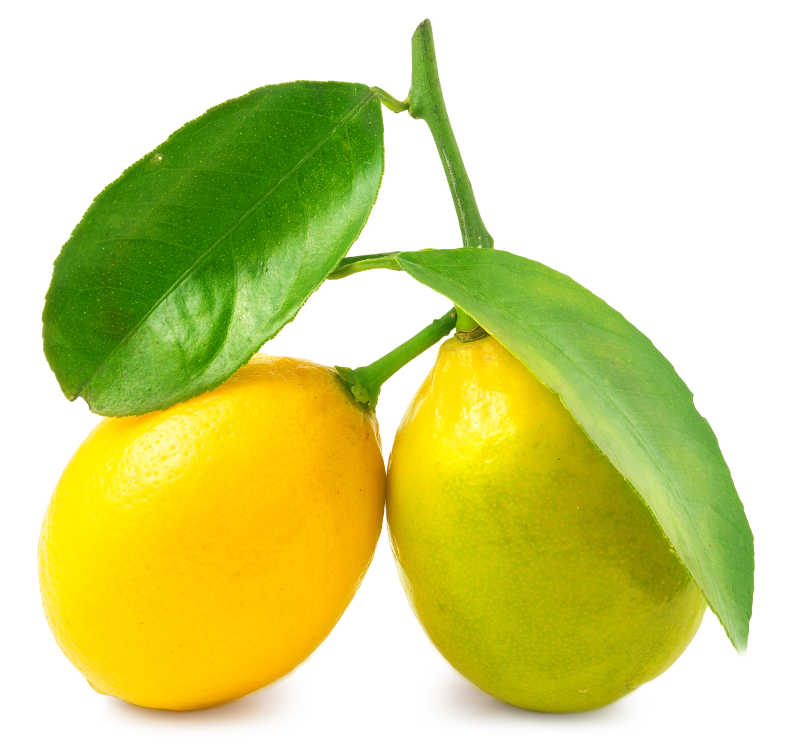 两个带有叶子的柠檬