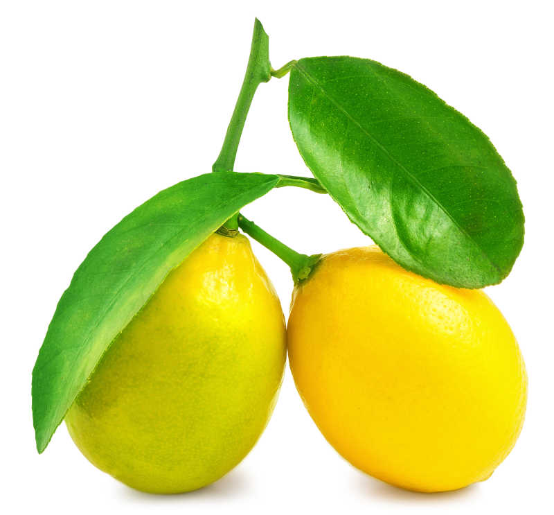 一颗略显青涩的柠檬和一颗成熟的柠檬
