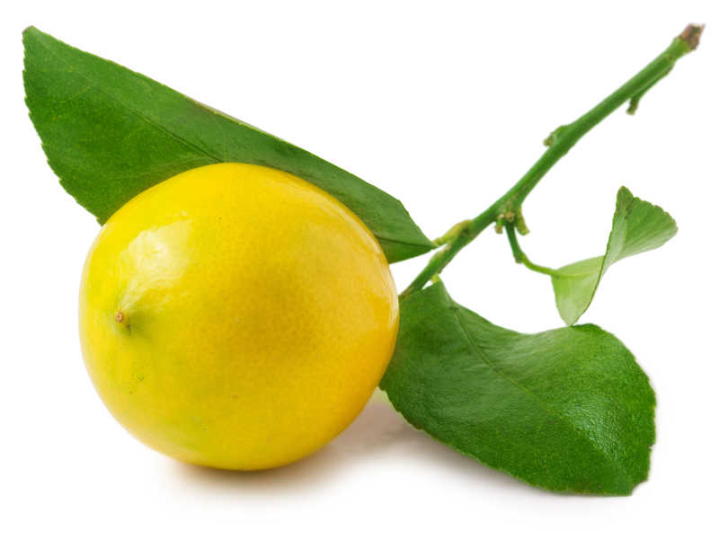 一个带着叶子的柠檬