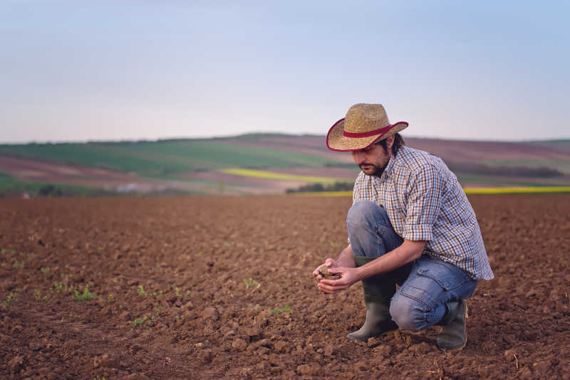 农户对肥沃农业土地土壤质量的调查