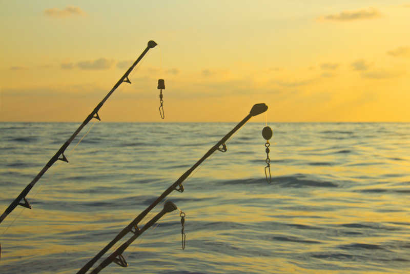 海面上垂钓的渔竿