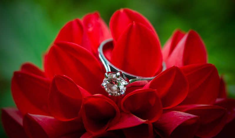 鲜花与钻石戒指