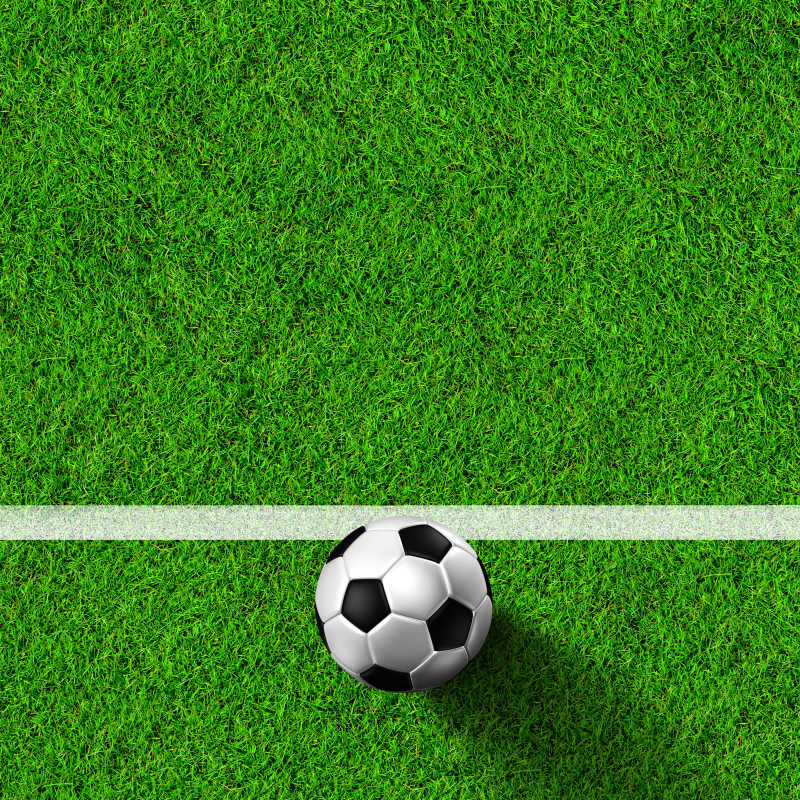 足球在绿色的草地上