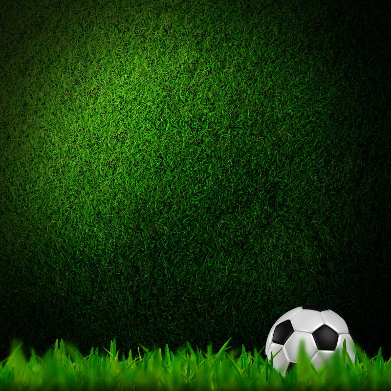 绿色草地上的足球