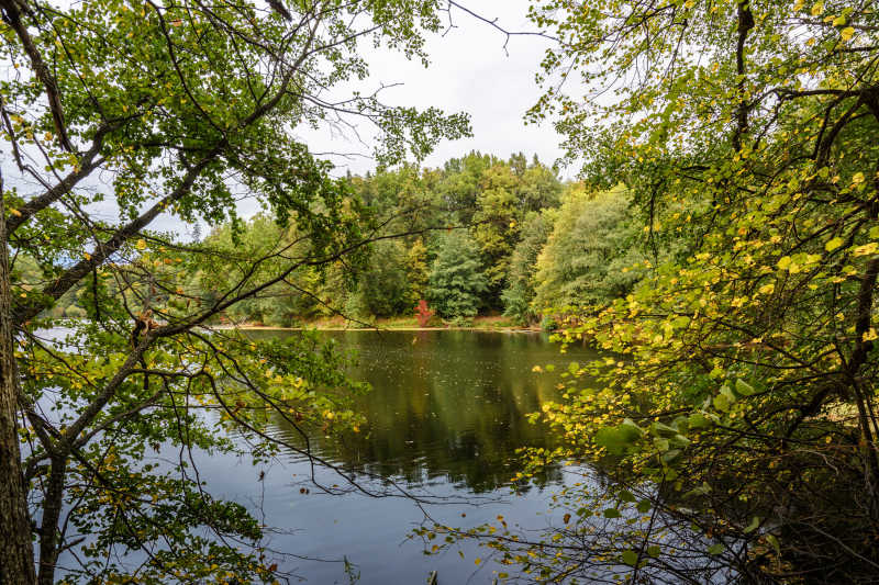 秋天公园的树和湖水