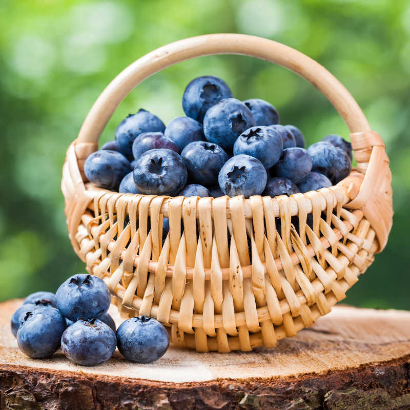 树桩上有新鲜蓝莓的篮子