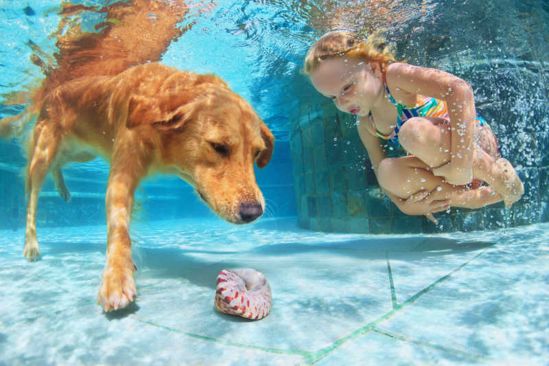 水下一起玩耍的女孩与狗