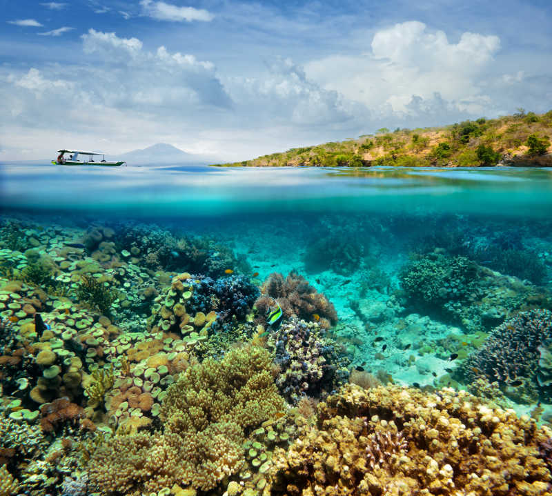 海底美丽的珊瑚礁