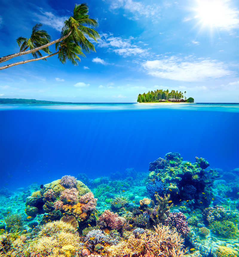 海底色彩斑斓的珊瑚礁