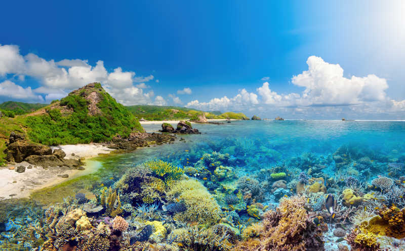 环绕着龙目岛的美丽珊瑚礁