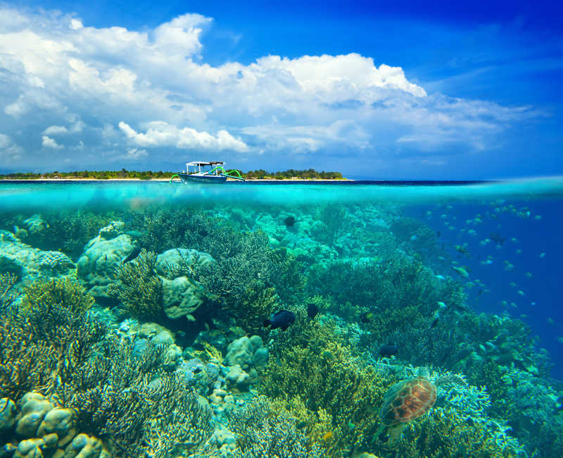 吉利梅诺岛的珊瑚礁