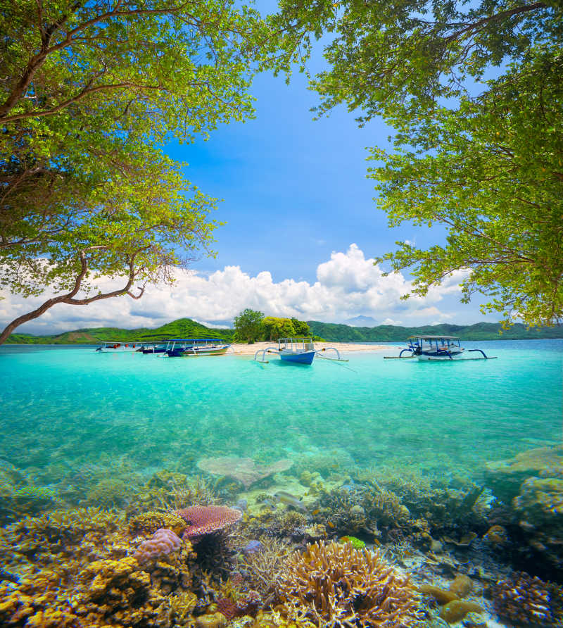 印度尼西亚龙目岛美丽的珊瑚礁