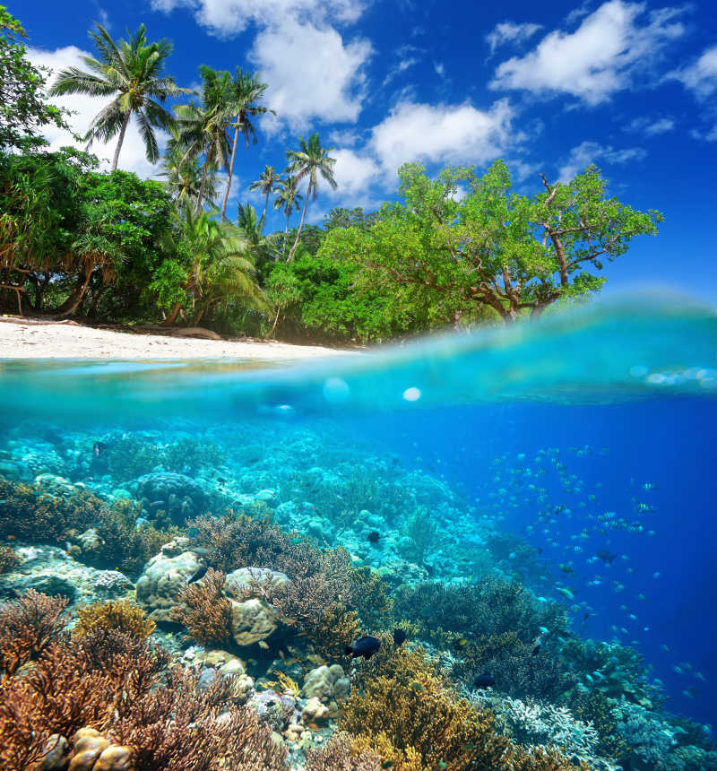 热带海洋中的珊瑚礁