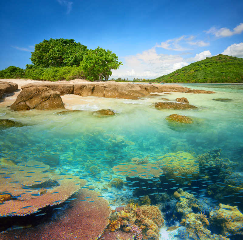 热带小岛周围的珊瑚礁