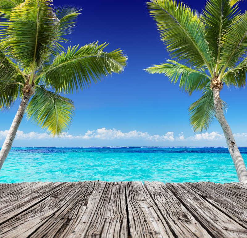 蓝天下蓝色海边的棕榈树和热带海景木板