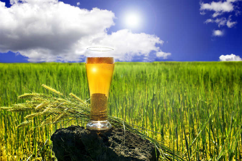 晴朗的天空下麦田里的一杯冰镇啤酒