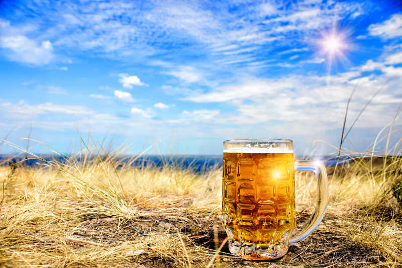 晴朗的太阳背景下的一杯冷啤酒