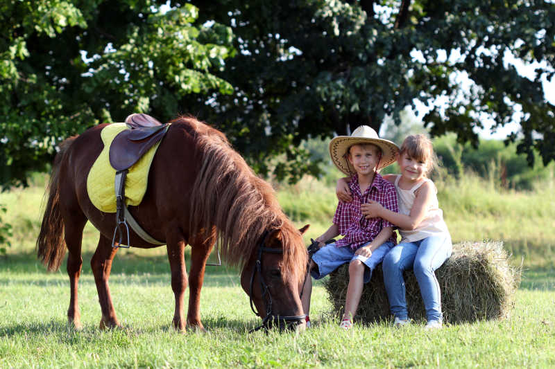 在草地上两个可爱的孩子在放马