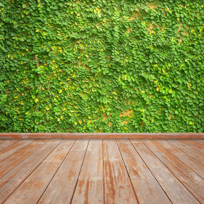 爬满绿色植物的墙壁和木制背景