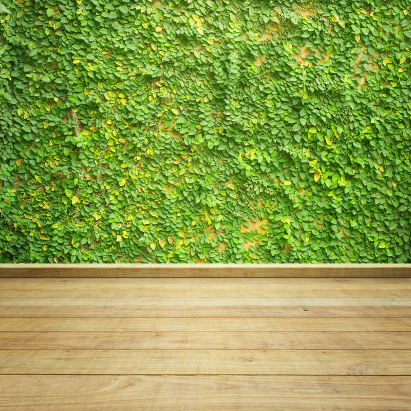 木质地板和满是绿植的墙壁相连接