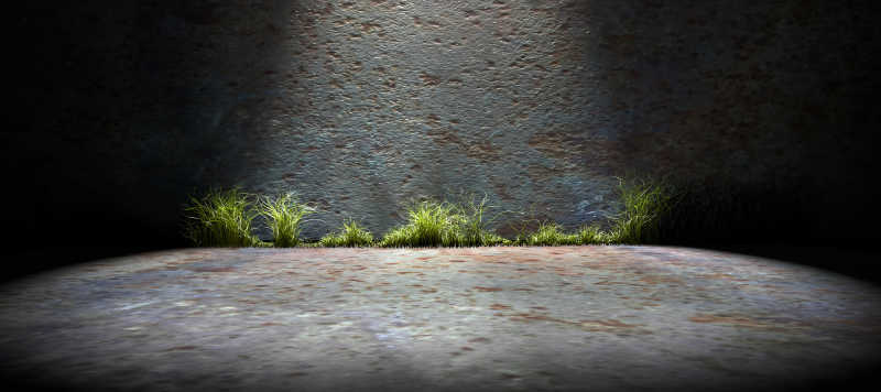 斑驳水泥墙墙有有一排小草
