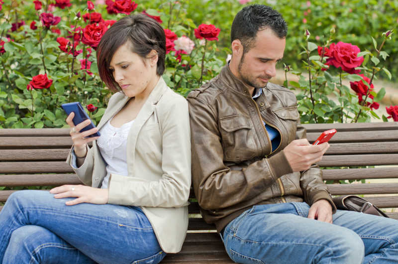 公园玫瑰花前的长椅上使用手机的夫妇