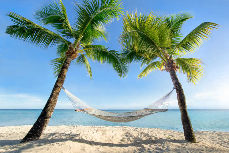 沙滩上椰树间的吊床