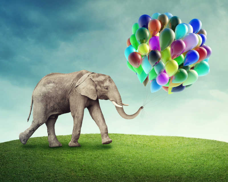 带彩色气球的大象