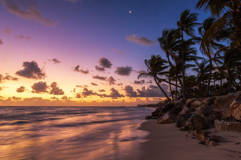 日出海滩上的棕榈树