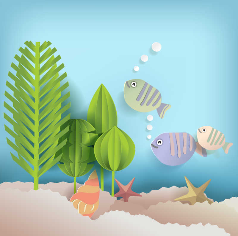 海底鱼和贝壳插画