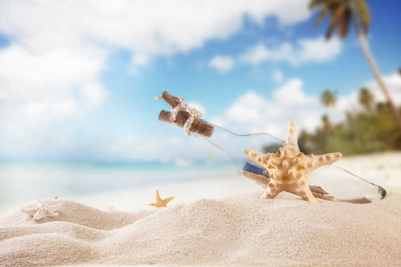 夏日沙滩上的贝壳和海星
