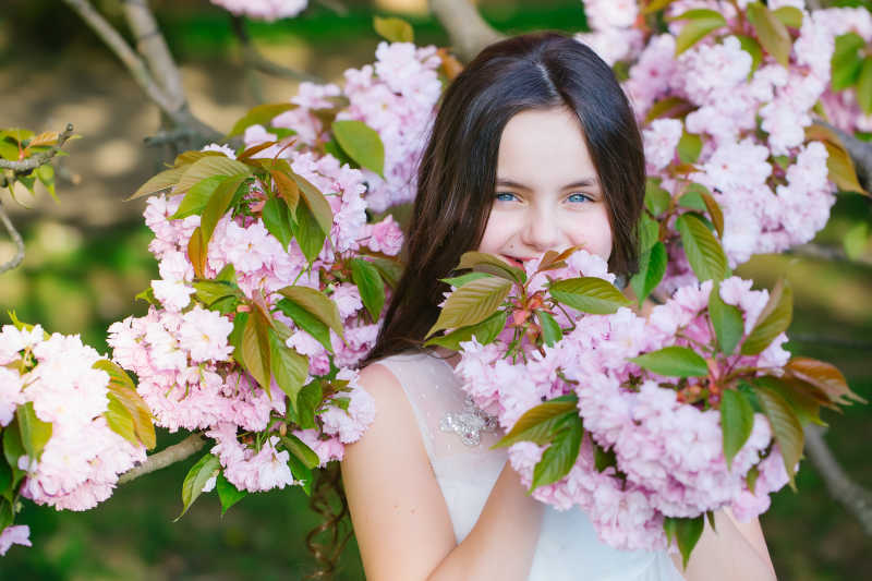 可爱的开满花的树下的女孩