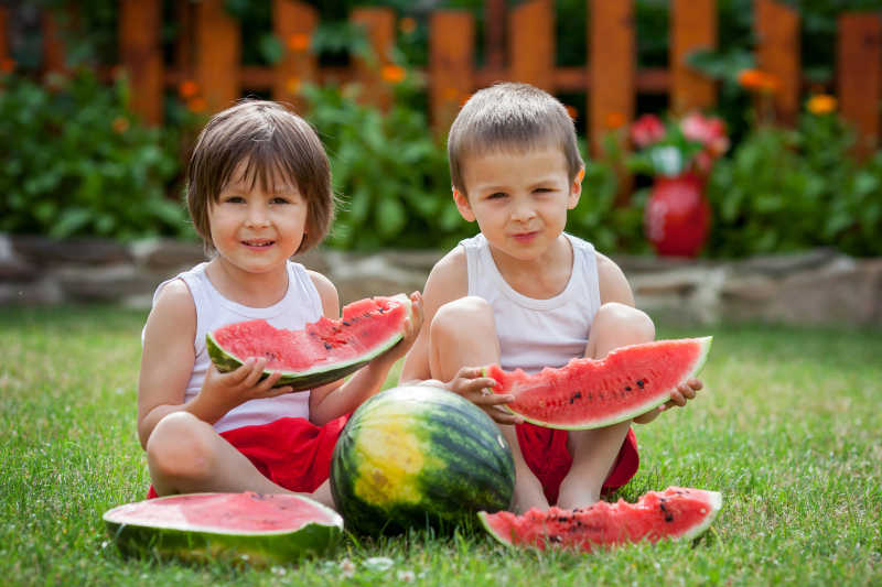 两个小男孩在花园里吃西瓜