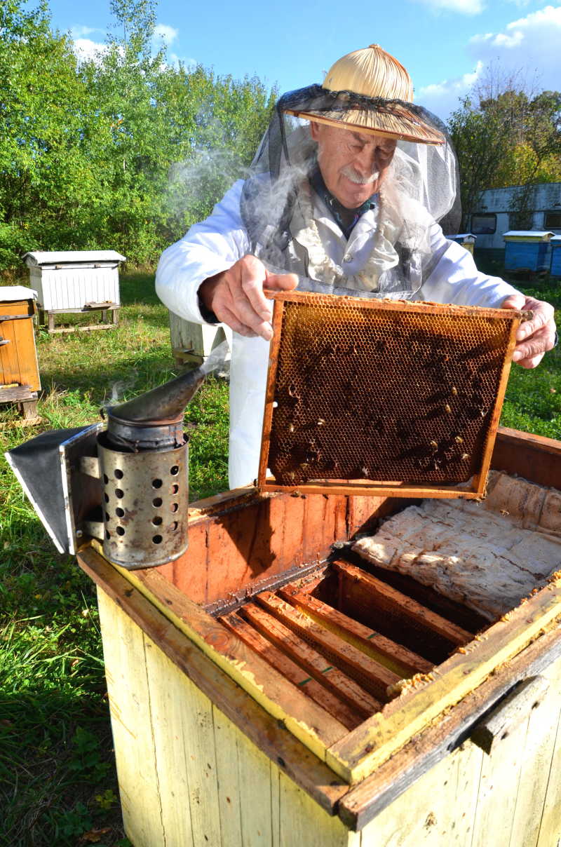 养蜂人在蜂场工作