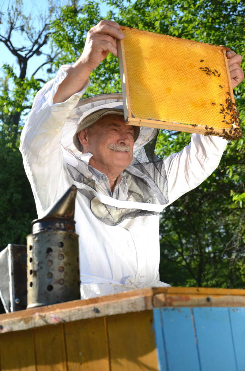 微笑的养蜂人在蜂场工作