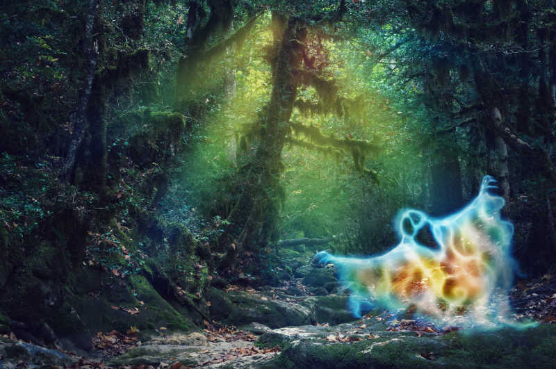 森林里的幽灵鬼魂