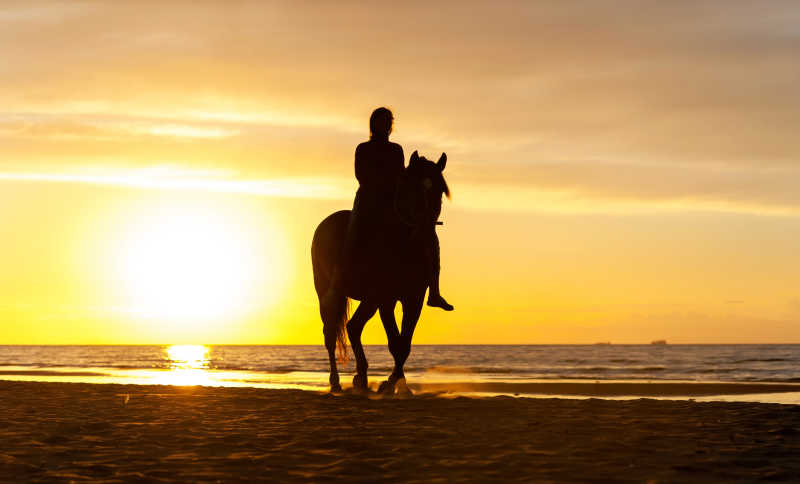 夕阳下骑马的女孩