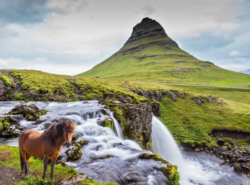 冰岛美丽的高山和流水以及被放牧的马