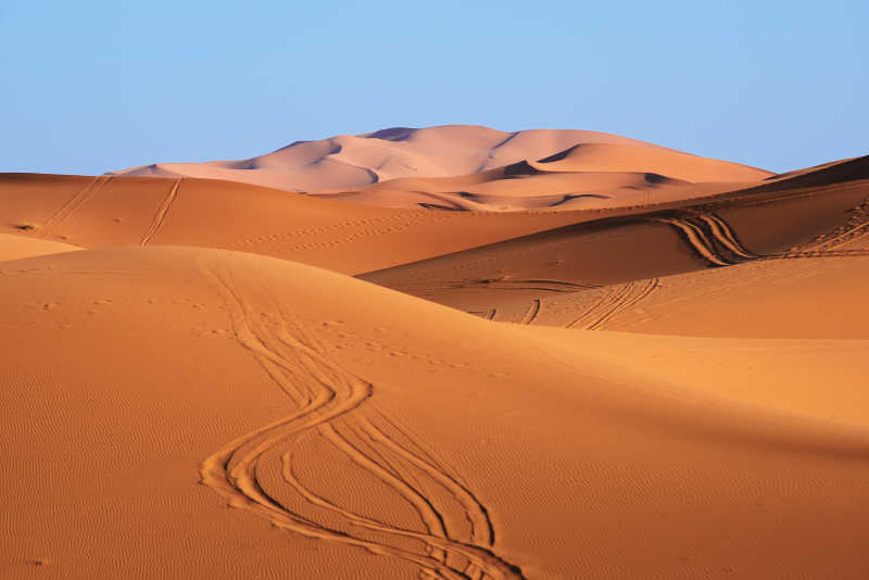 撒哈拉干旱的沙漠沙丘
