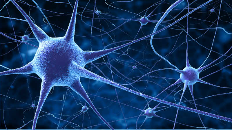 蓝色的神经细胞