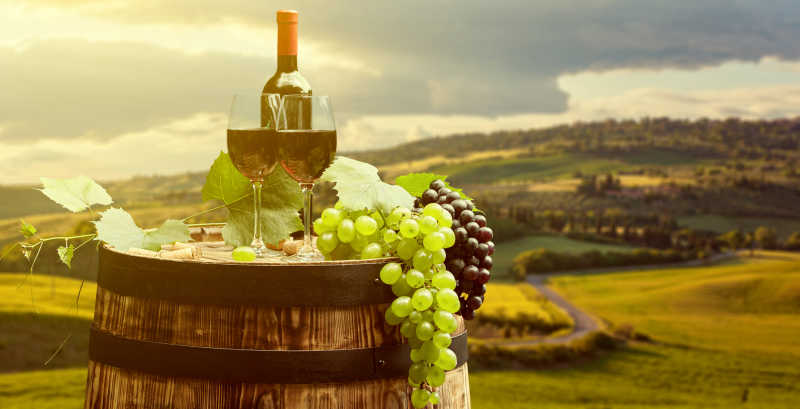 托斯卡纳绿色葡萄园背景前的红酒桶和新鲜的葡萄