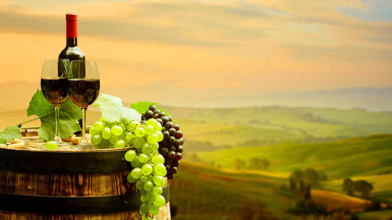 绿色葡萄园酒桶和葡萄红酒
