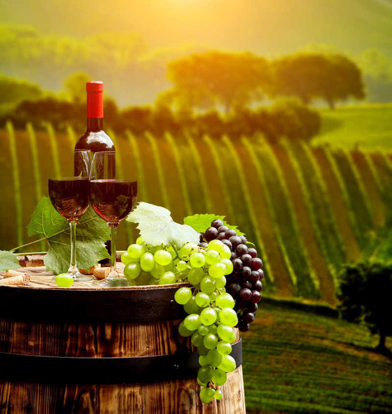 意大利托斯卡纳绿色葡萄园背景前的红酒桶和新鲜的葡萄